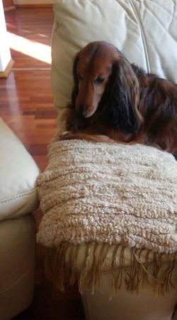 Jego smutek w ost.tyg.wyciska� �zy z na